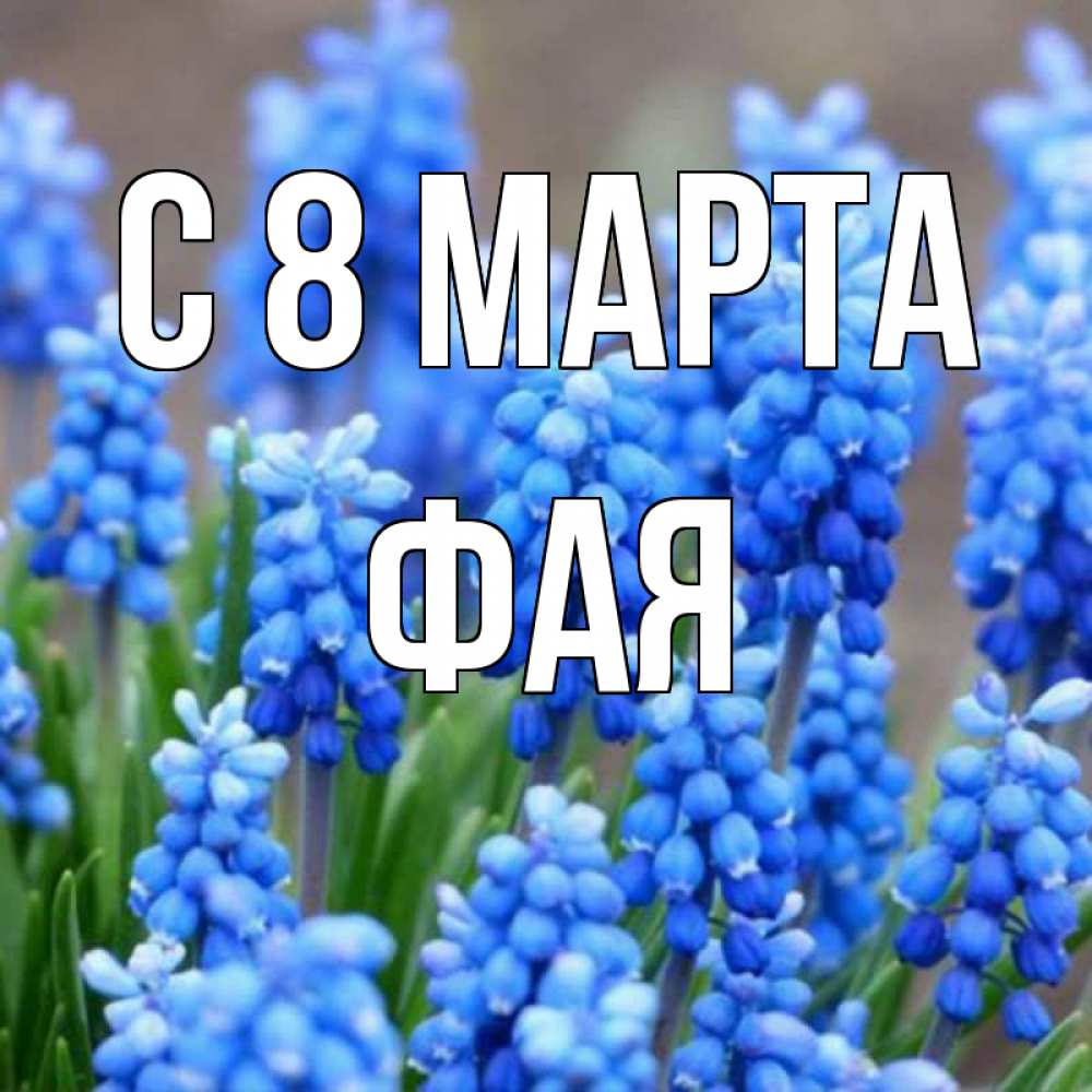 Открытка на каждый день с именем, Фая С 8 МАРТА Поздравительная открытка для женщин с цветами на праздничную дату Прикольная открытка с пожеланием онлайн скачать бесплатно 