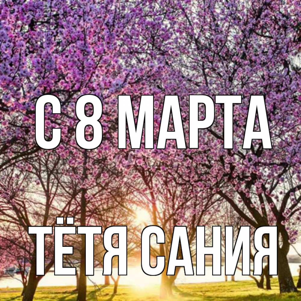 Открытка на каждый день с именем, Тётя-Сания С 8 марта международный женский день Прикольная открытка с пожеланием онлайн скачать бесплатно 