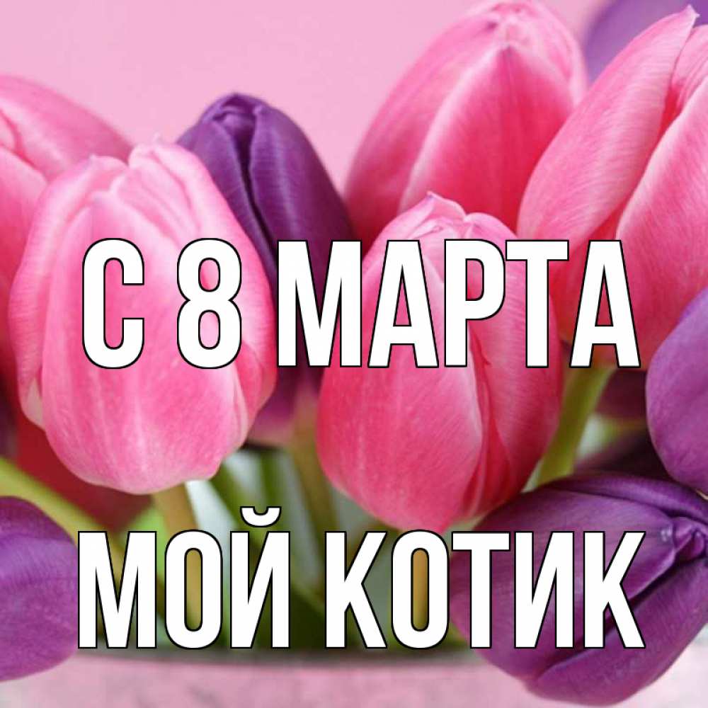 Открытка на каждый день с именем, мой-Котик С 8 МАРТА маме 1 Прикольная открытка с пожеланием онлайн скачать бесплатно 