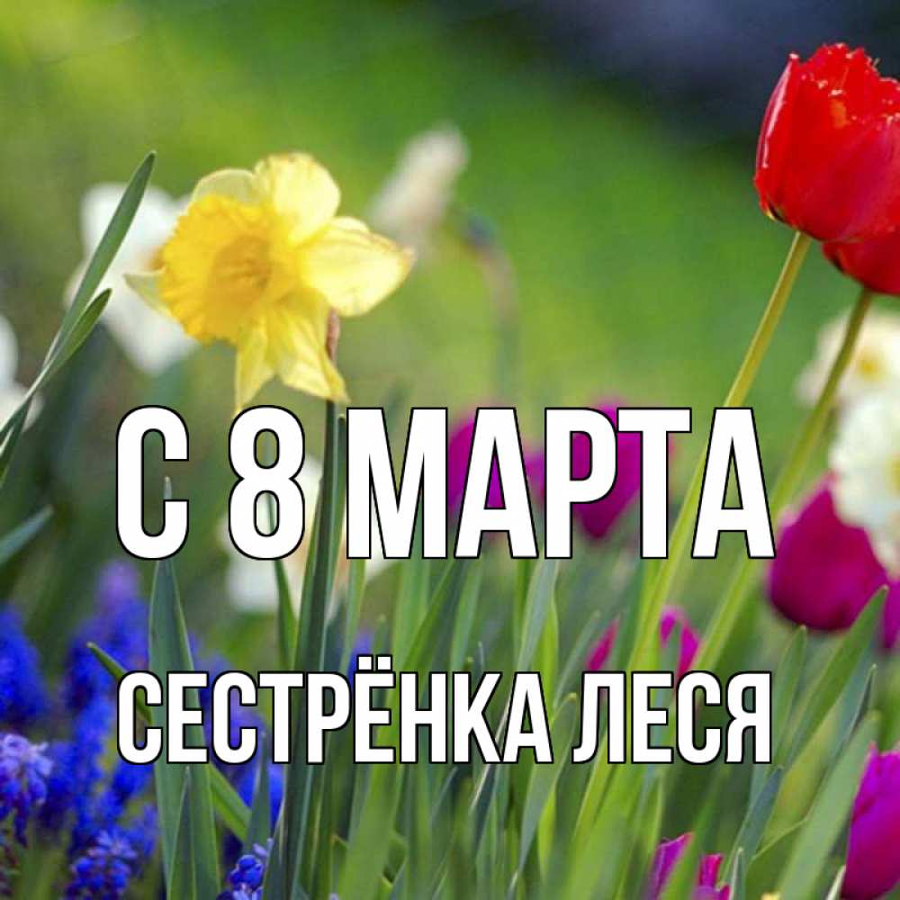 Открытка на каждый день с именем, Сестрёнка-Леся С 8 марта международный женский день 3 Прикольная открытка с пожеланием онлайн скачать бесплатно 