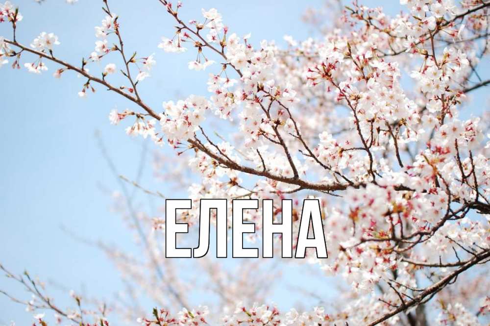 Открытка на каждый день с именем, Елена Главная С 1 мая Прикольная открытка с пожеланием онлайн скачать бесплатно 