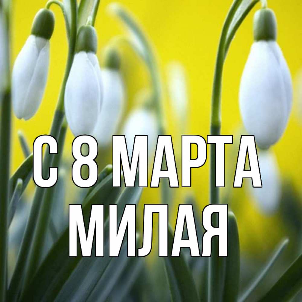 Открытка на каждый день с именем, Милая С 8 МАРТА весенние цветы Прикольная открытка с пожеланием онлайн скачать бесплатно 