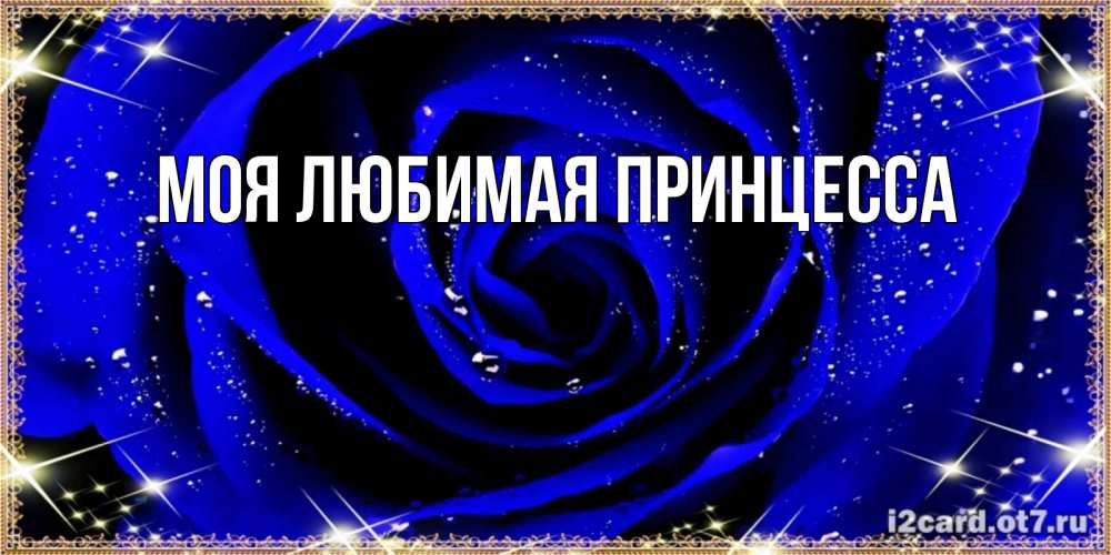Открытка на каждый день с именем, Моя-Любимая-Принцесса Главная голубые цветы в росе Прикольная открытка с пожеланием онлайн скачать бесплатно 