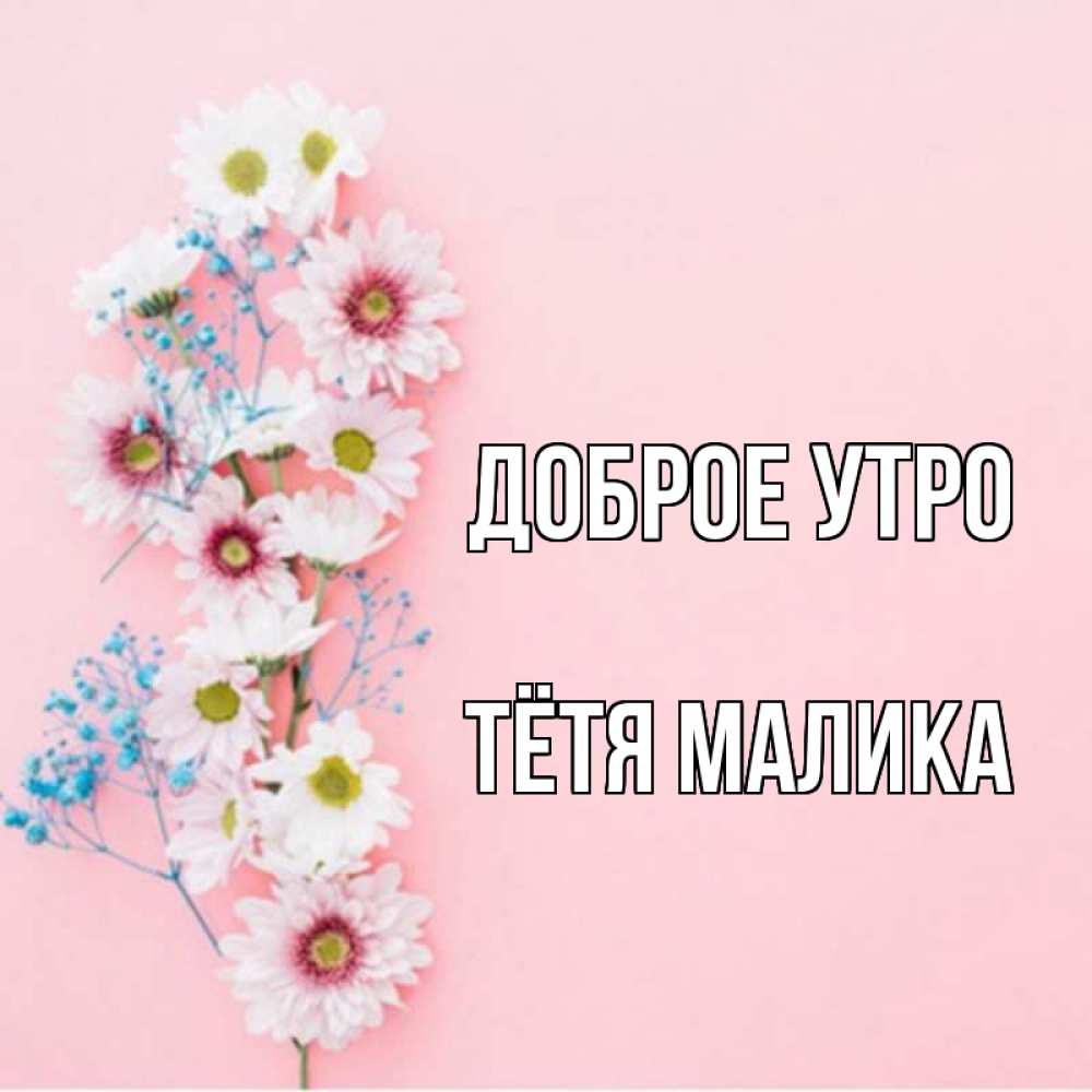 Открытка на каждый день с именем, Тётя-Малика Доброе утро цветы с подписью Прикольная открытка с пожеланием онлайн скачать бесплатно 