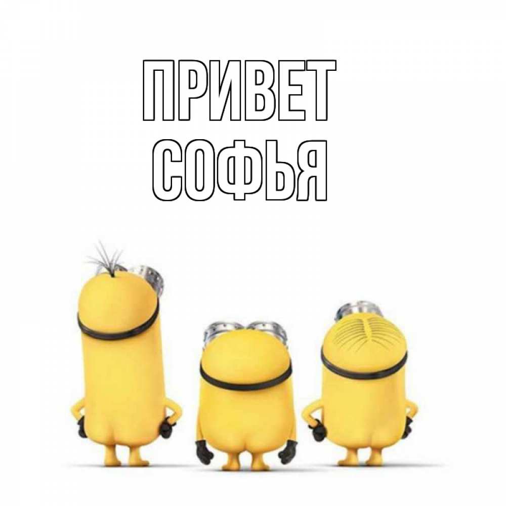 Софье приветы