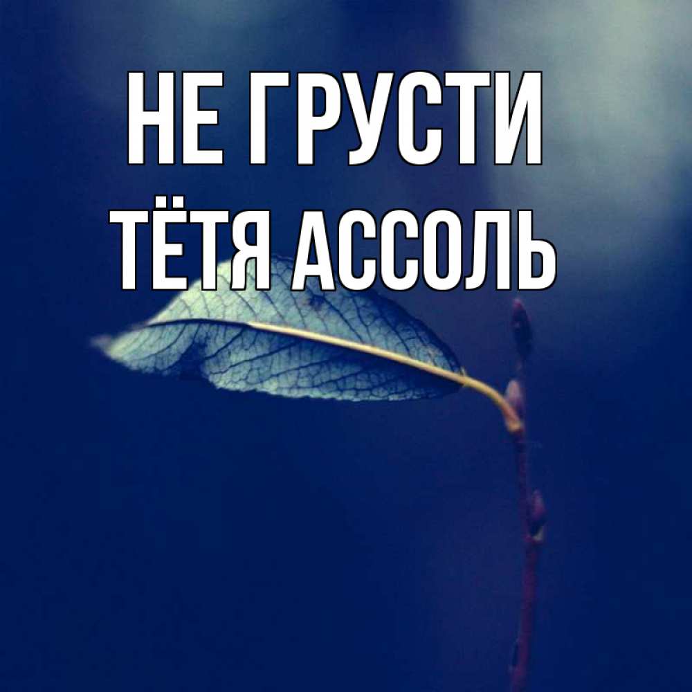 Открытка на каждый день с именем, Тётя-Ассоль Не грусти растение Прикольная открытка с пожеланием онлайн скачать бесплатно 