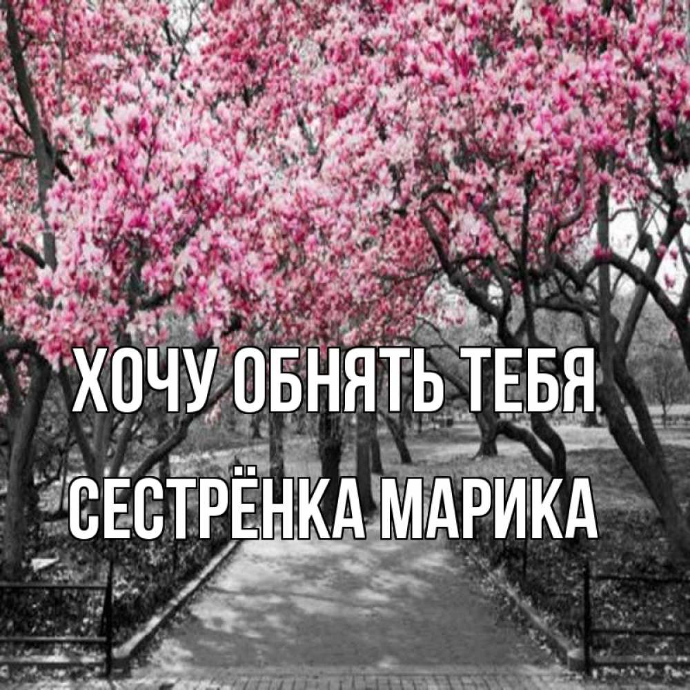 Открытка на каждый день с именем, Сестрёнка-Марика Хочу обнять тебя обработанное фото Прикольная открытка с пожеланием онлайн скачать бесплатно 