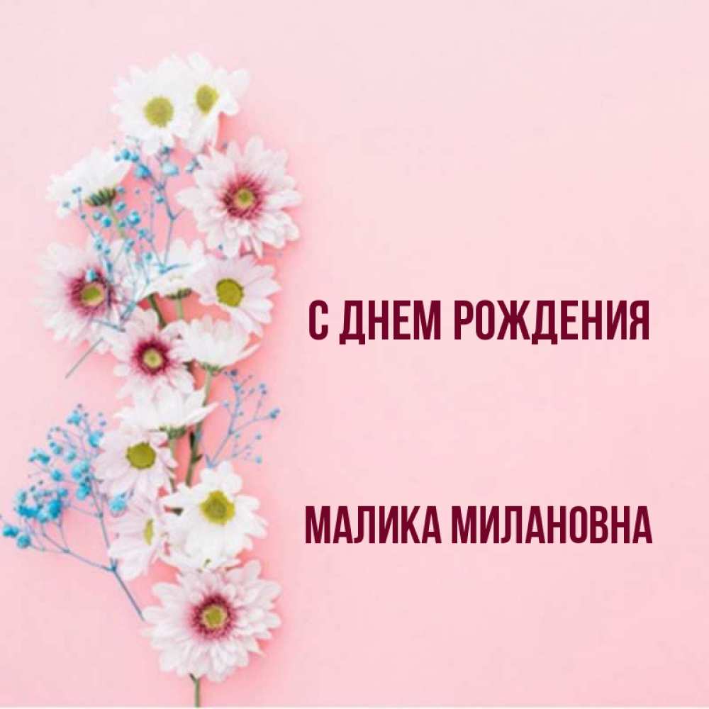 С днем рождения малика картинка девочке