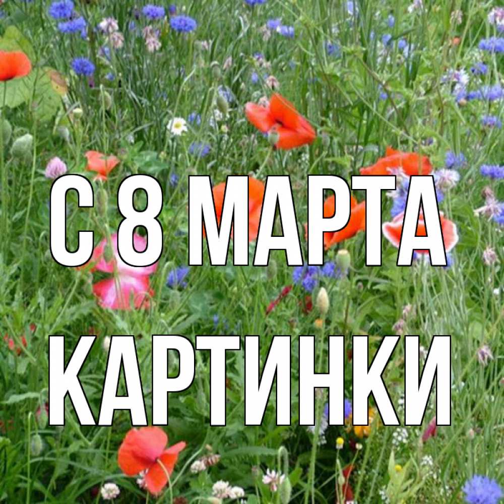 Открытка на каждый день с именем, Картинки С 8 МАРТА международный женский день 4 Прикольная открытка с пожеланием онлайн скачать бесплатно 