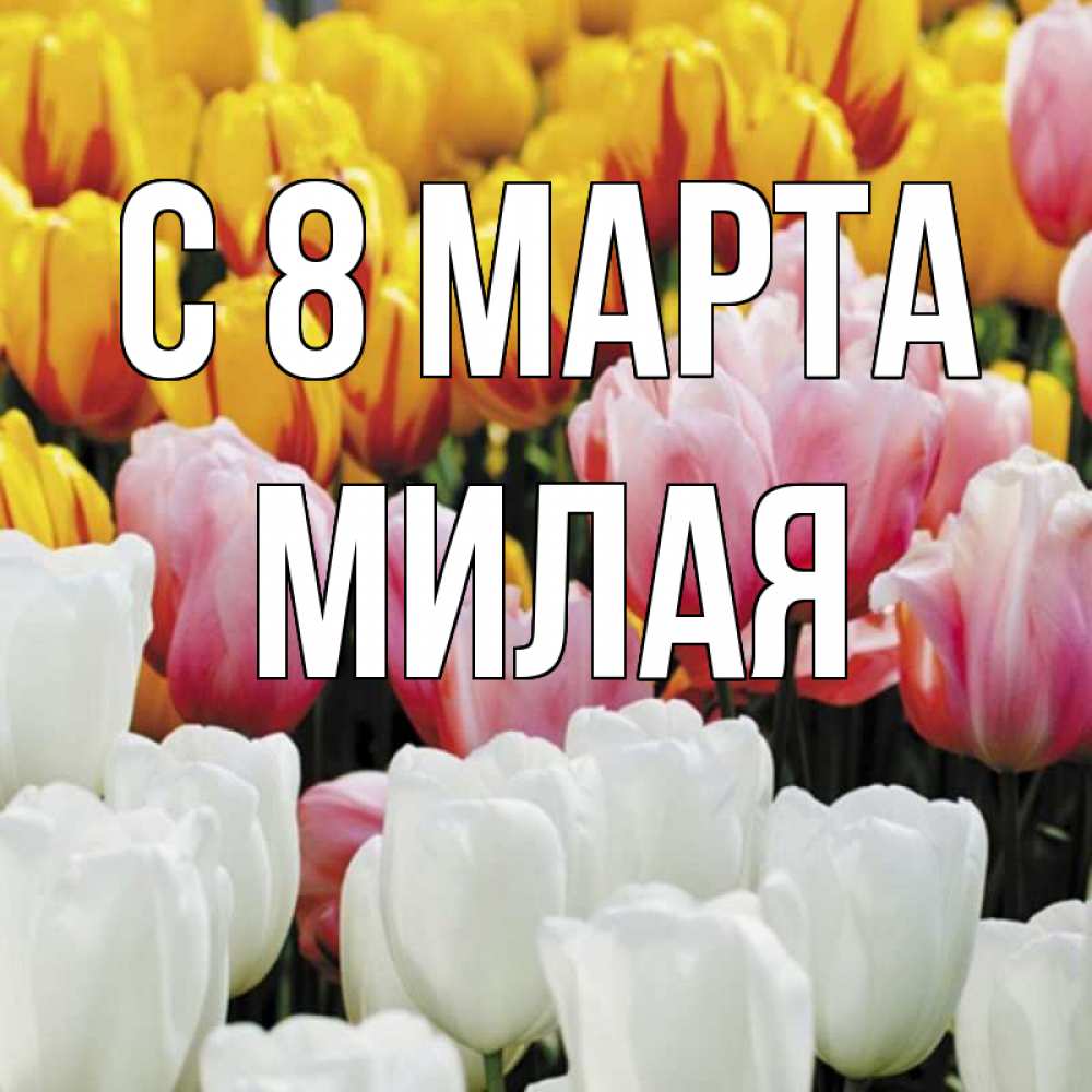 Открытка на каждый день с именем, Милая С 8 МАРТА разноцветные цветы Прикольная открытка с пожеланием онлайн скачать бесплатно 