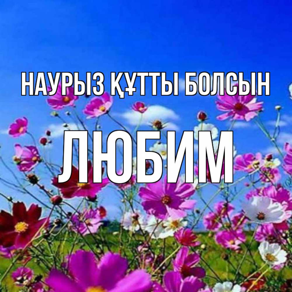 Открытка на каждый день с именем, Любим Наурыз құтты болсын цветы Прикольная открытка с пожеланием онлайн скачать бесплатно 