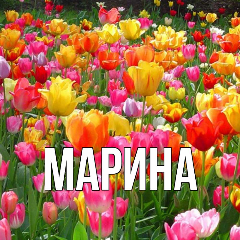 Открытка на каждый день с именем, Марина Главная праздник весны наурыз 4 Прикольная открытка с пожеланием онлайн скачать бесплатно 