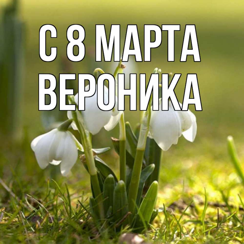 Открытка на каждый день с именем, вероника С 8 МАРТА ранние цветы 2 Прикольная открытка с пожеланием онлайн скачать бесплатно 