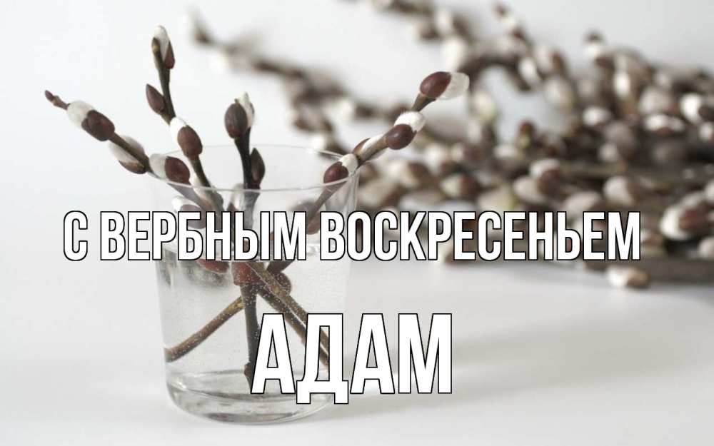Открытка на каждый день с именем, Адам С вербным воскресеньем верба Прикольная открытка с пожеланием онлайн скачать бесплатно 