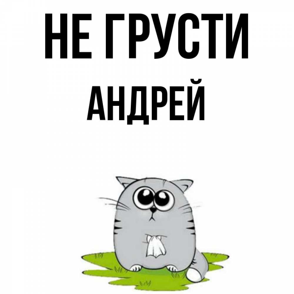 Открытка на каждый день с именем, Андрей Не грусти грустный котяра Прикольная открытка с пожеланием онлайн скачать бесплатно 