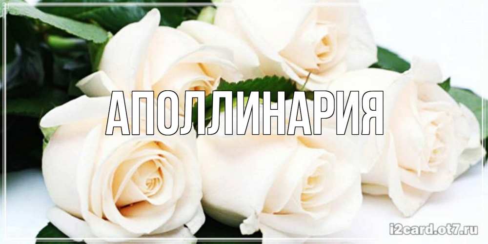 Открытка на каждый день с именем, Аполлинария Главная открытка с красивыми белыми розами для родных Прикольная открытка с пожеланием онлайн скачать бесплатно 