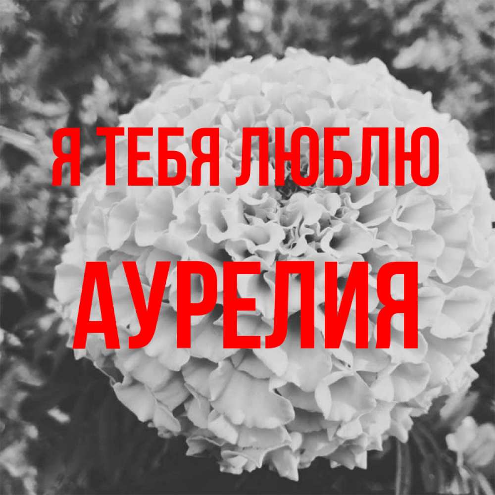 Открытка на каждый день с именем, Аурелия Я тебя люблю подпись Прикольная открытка с пожеланием онлайн скачать бесплатно 