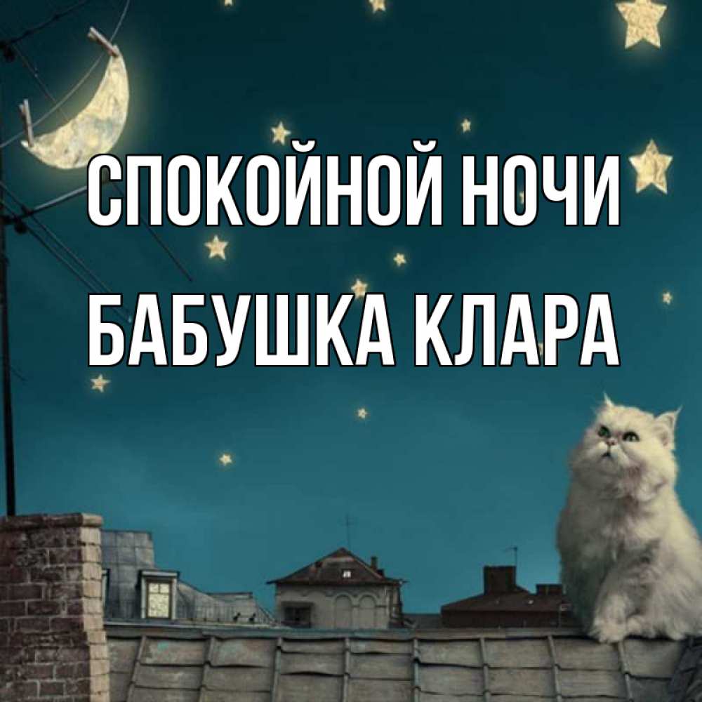 Открытка на каждый день с именем, Бабушка-Клара Спокойной ночи белый кот сидит на крыше Прикольная открытка с пожеланием онлайн скачать бесплатно 