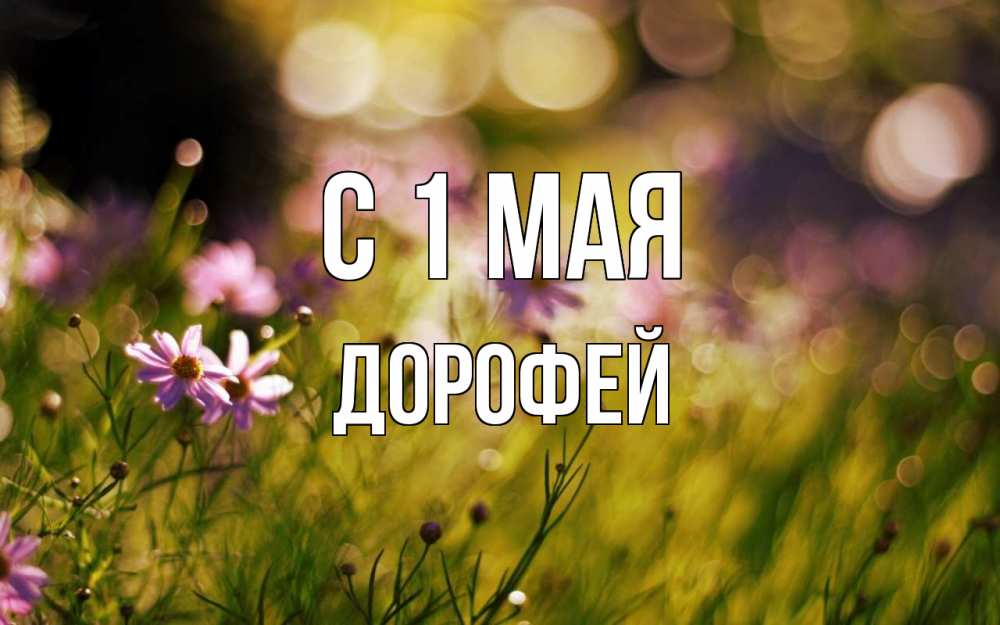Открытка на каждый день с именем, Дорофей С 1 мая С 1 мая Прикольная открытка с пожеланием онлайн скачать бесплатно 