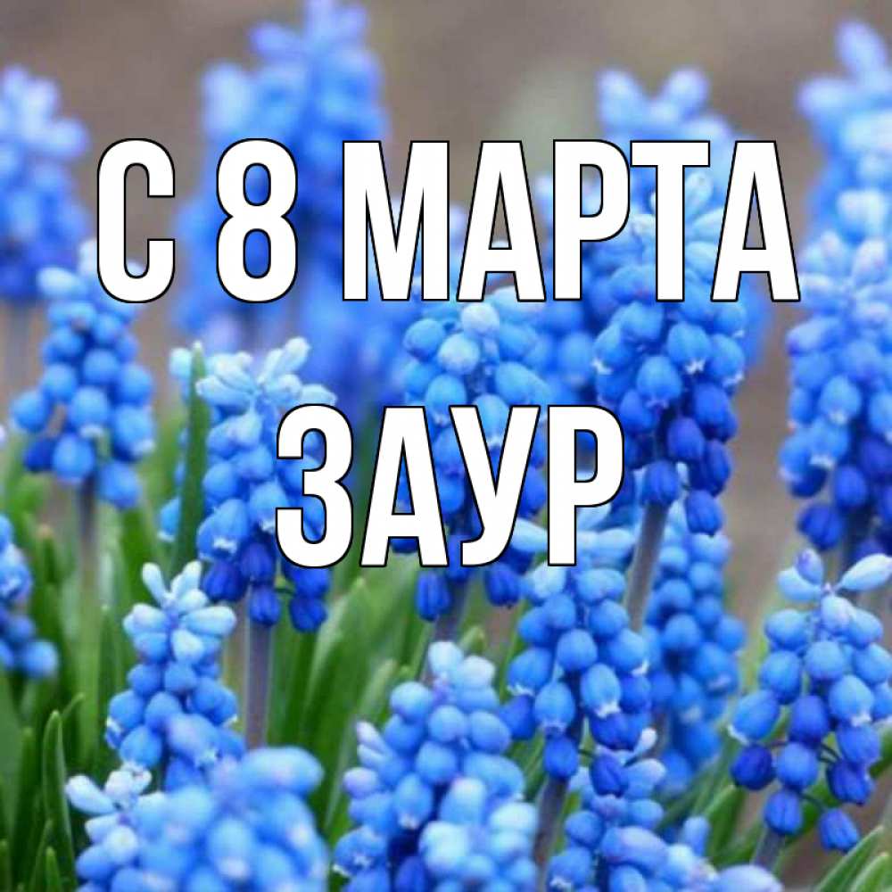 Открытка на каждый день с именем, Заур С 8 МАРТА Поздравительная открытка для женщин с цветами на праздничную дату Прикольная открытка с пожеланием онлайн скачать бесплатно 