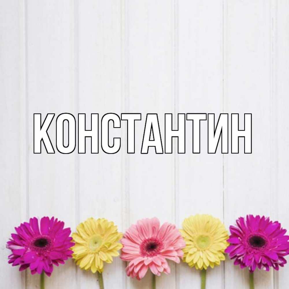 Открытка на каждый день с именем, Константин Главная красный желтый и розовый цветок Прикольная открытка с пожеланием онлайн скачать бесплатно 