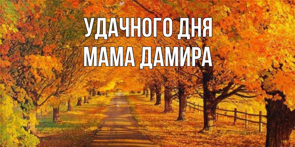 Открытка на каждый день с именем, Мама-Дамира Удачного дня деревья с осенними листьями Прикольная открытка с пожеланием онлайн скачать бесплатно 