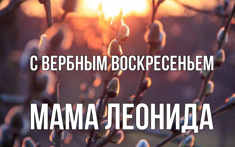 Открытка на каждый день с именем, Мама-Леонида С вербным воскресеньем верба Прикольная открытка с пожеланием онлайн скачать бесплатно 