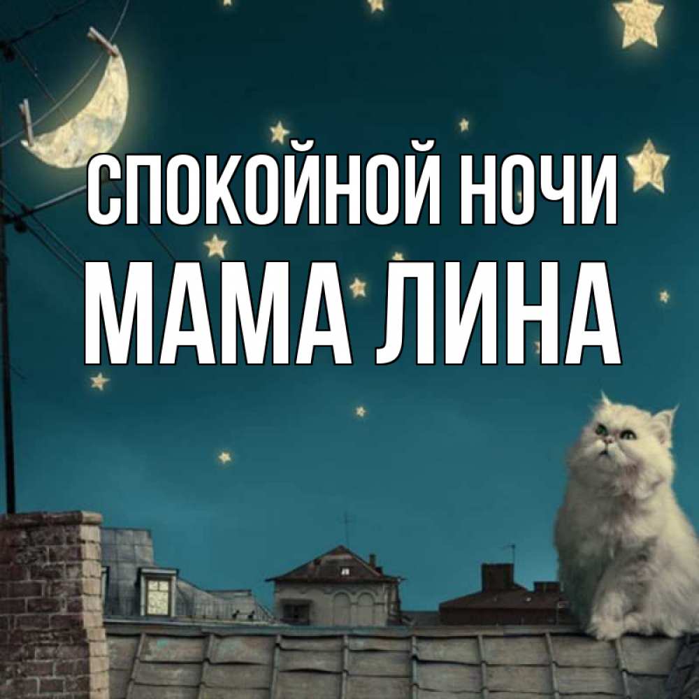 Открытка на каждый день с именем, Мама-Лина Спокойной ночи белый кот сидит на крыше Прикольная открытка с пожеланием онлайн скачать бесплатно 
