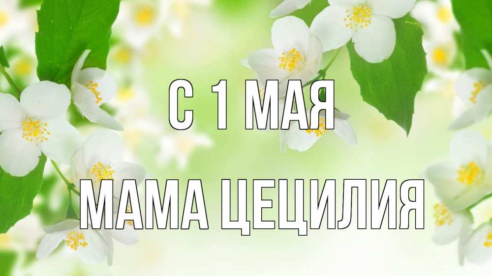 Открытка на каждый день с именем, Мама-Цецилия С 1 мая С 1 мая Прикольная открытка с пожеланием онлайн скачать бесплатно 