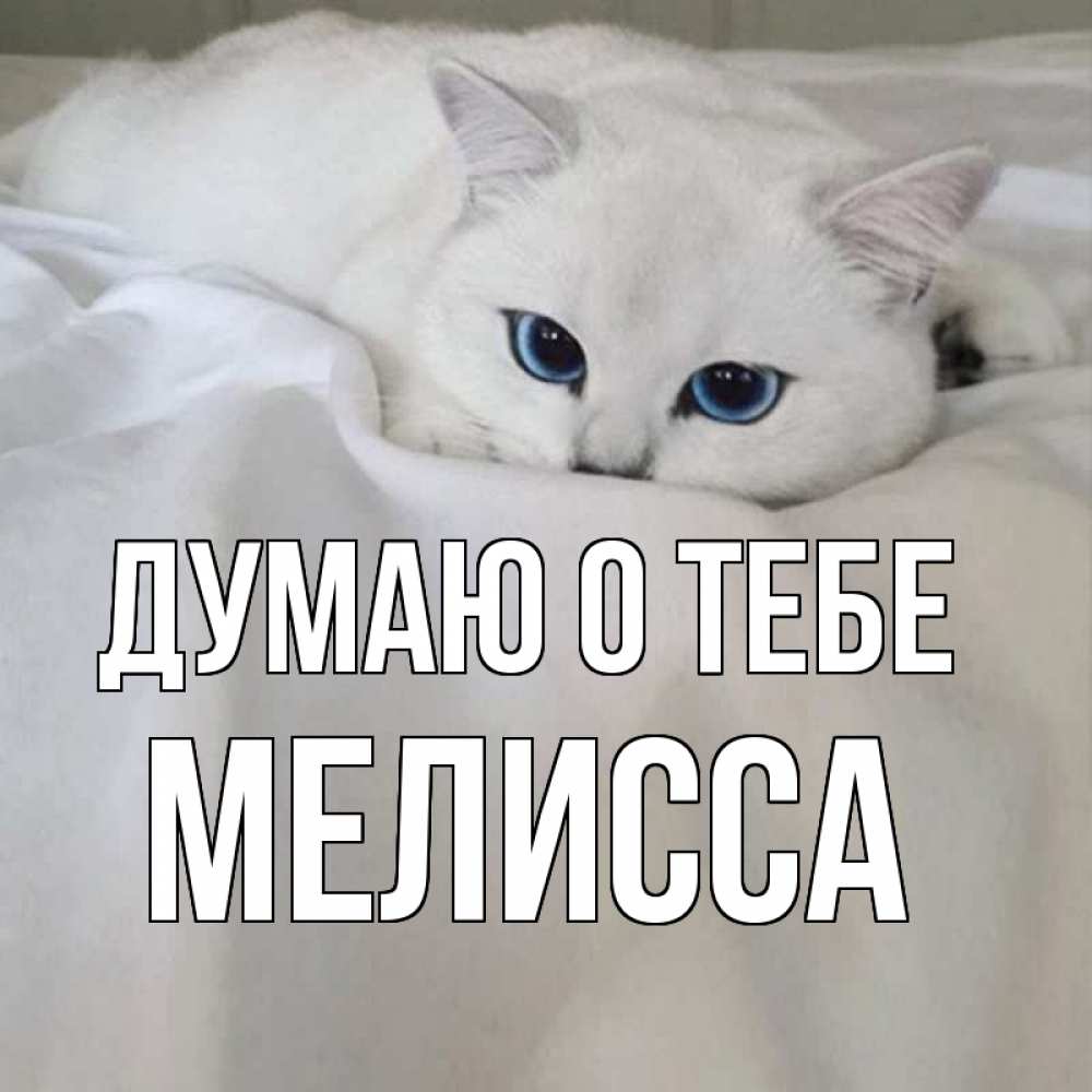 Открытка на каждый день с именем, Мелисса Думаю о тебе я очень по тебе скучаю и тоскую Прикольная открытка с пожеланием онлайн скачать бесплатно 