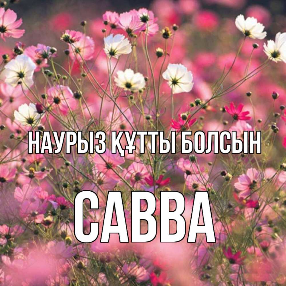 Открытка на каждый день с именем, Савва Наурыз құтты болсын красиво 1 Прикольная открытка с пожеланием онлайн скачать бесплатно 