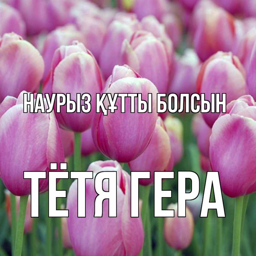 Открытка на каждый день с именем, Тётя-Гера Наурыз құтты болсын на наурыз  день 3 Прикольная открытка с пожеланием онлайн скачать бесплатно 