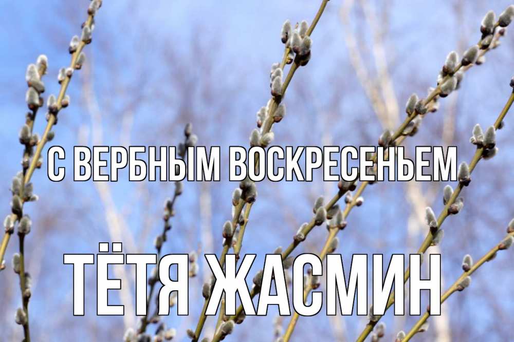 Открытка на каждый день с именем, Тётя-Жасмин С вербным воскресеньем верба Прикольная открытка с пожеланием онлайн скачать бесплатно 