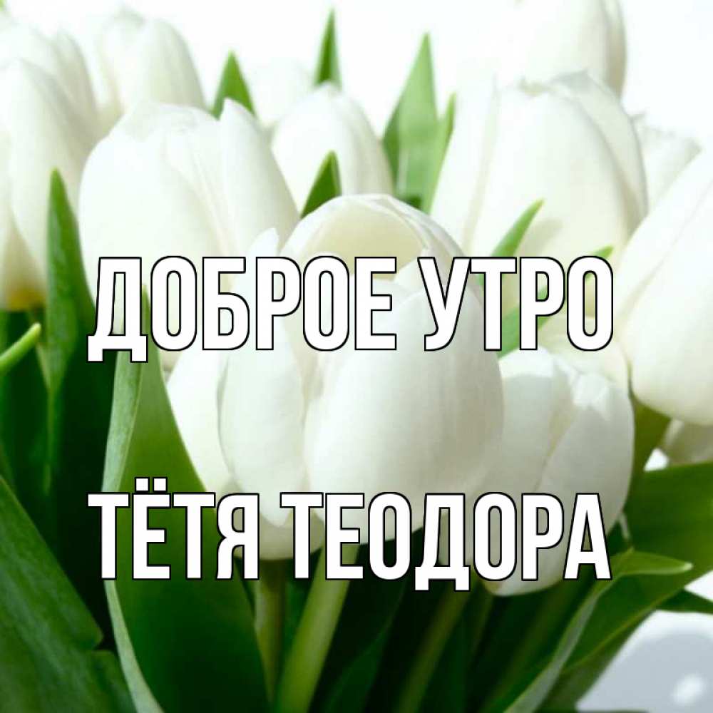 Открытка на каждый день с именем, Тётя-Теодора Доброе утро открытки на каждый день по именам Прикольная открытка с пожеланием онлайн скачать бесплатно 