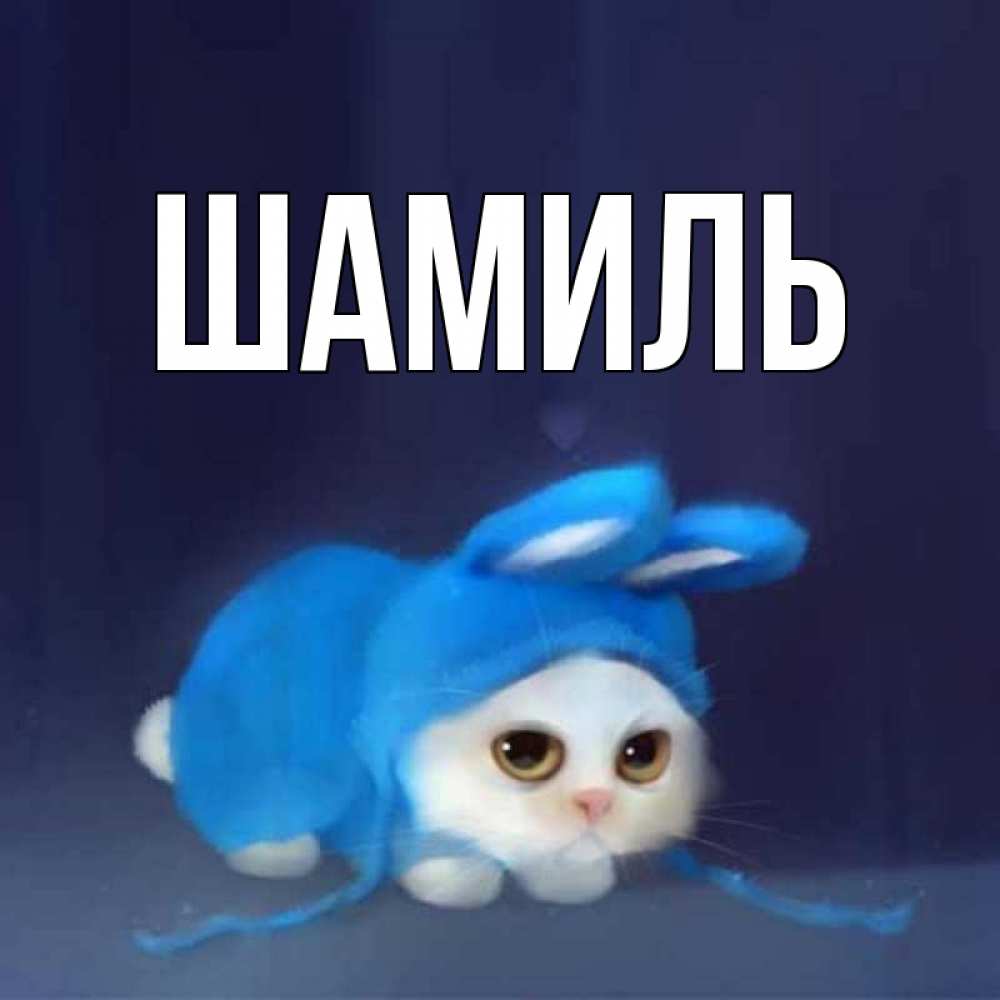 Открытка на каждый день с именем, Шамиль Главная кот в голубом костюме кролика с ушками Прикольная открытка с пожеланием онлайн скачать бесплатно 