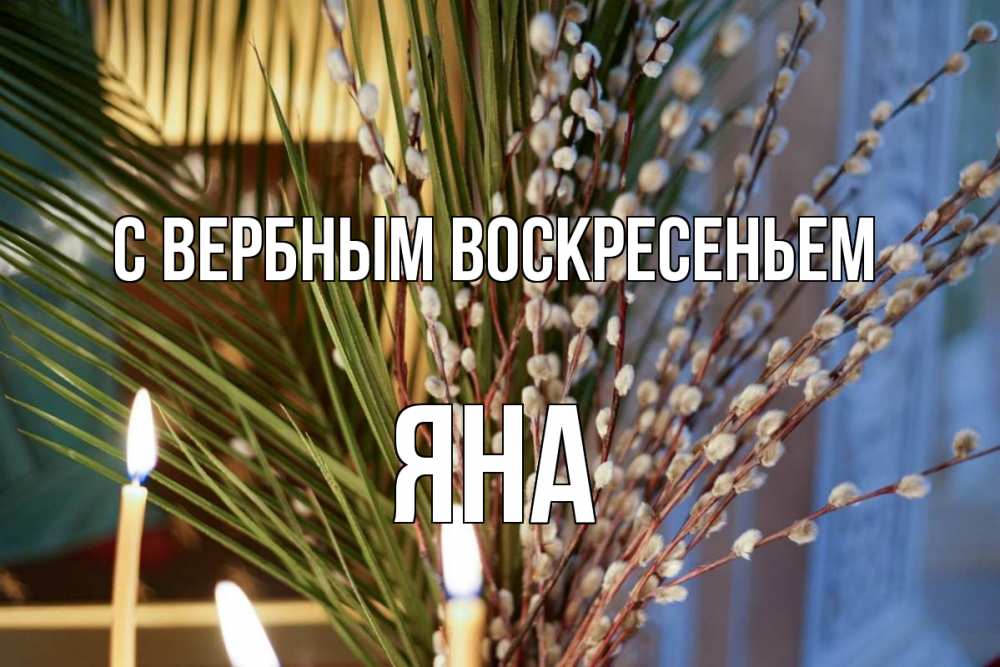 Открытка на каждый день с именем, Яна С вербным воскресеньем верба Прикольная открытка с пожеланием онлайн скачать бесплатно 