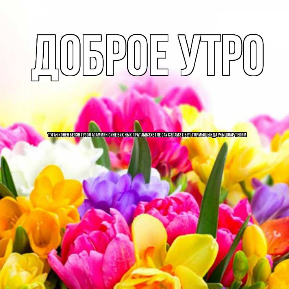 свою красоту эшегездэ зур унышлар картинки название