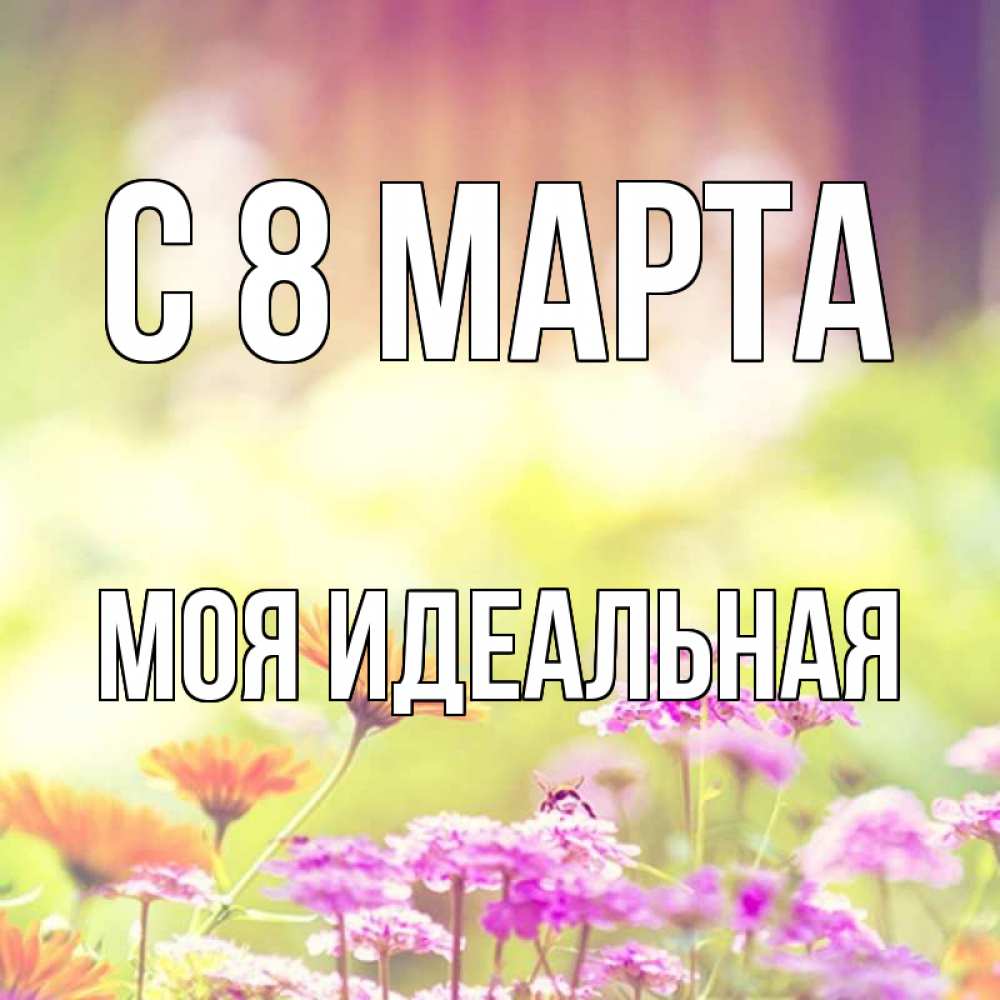 Открытка на каждый день с именем, Моя-идеальная С 8 марта цветы весна Прикольная открытка с пожеланием онлайн скачать бесплатно 