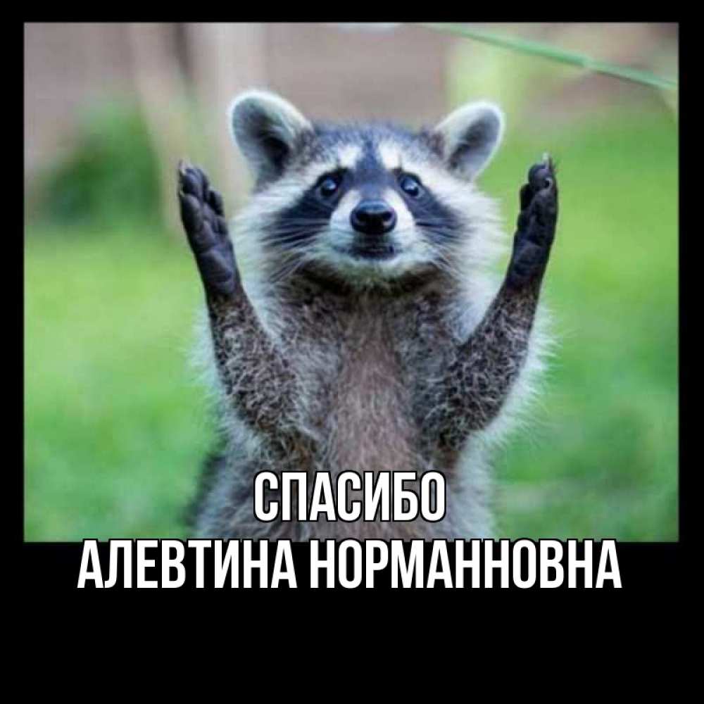 Открытка с именем, Алевтина Норманновна, Спасибо