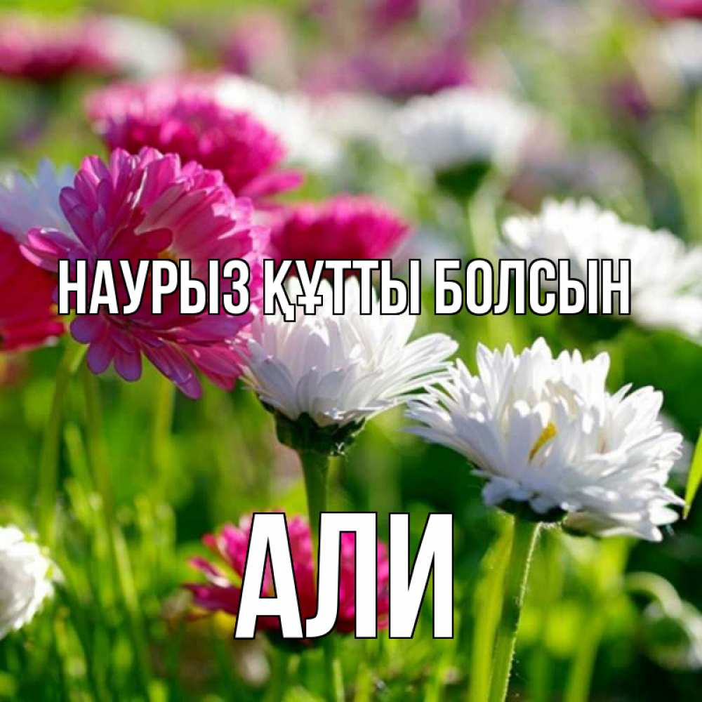 Открытка на каждый день с именем, Али Наурыз құтты болсын наурыз Прикольная открытка с пожеланием онлайн скачать бесплатно 