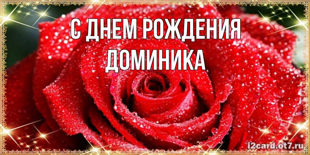Открытка на каждый день с именем, Доминика С днем рождения роса и роза. открытка с красивой розой Прикольная открытка с пожеланием онлайн скачать бесплатно 