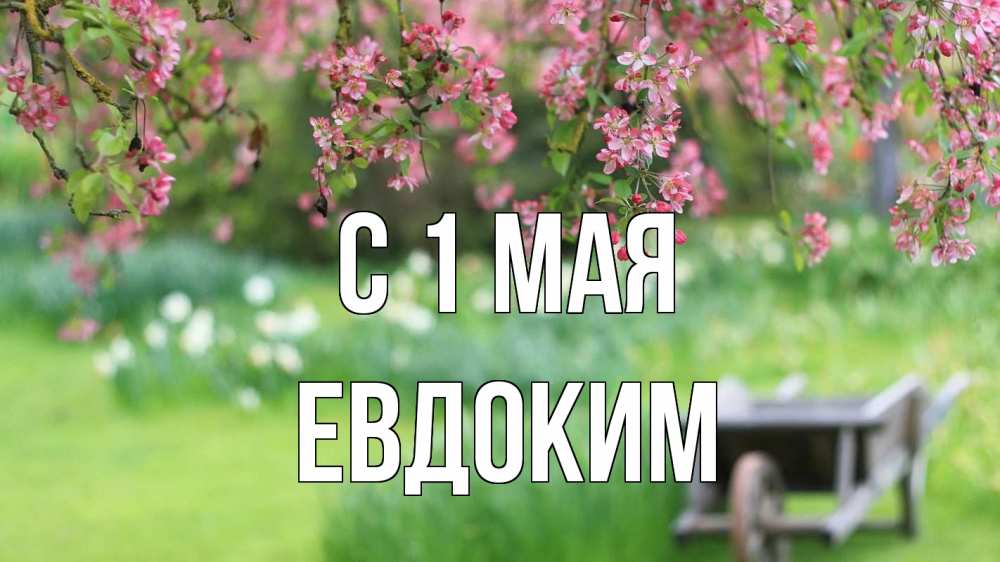 Открытка на каждый день с именем, Евдоким С 1 мая С 1 мая Прикольная открытка с пожеланием онлайн скачать бесплатно 