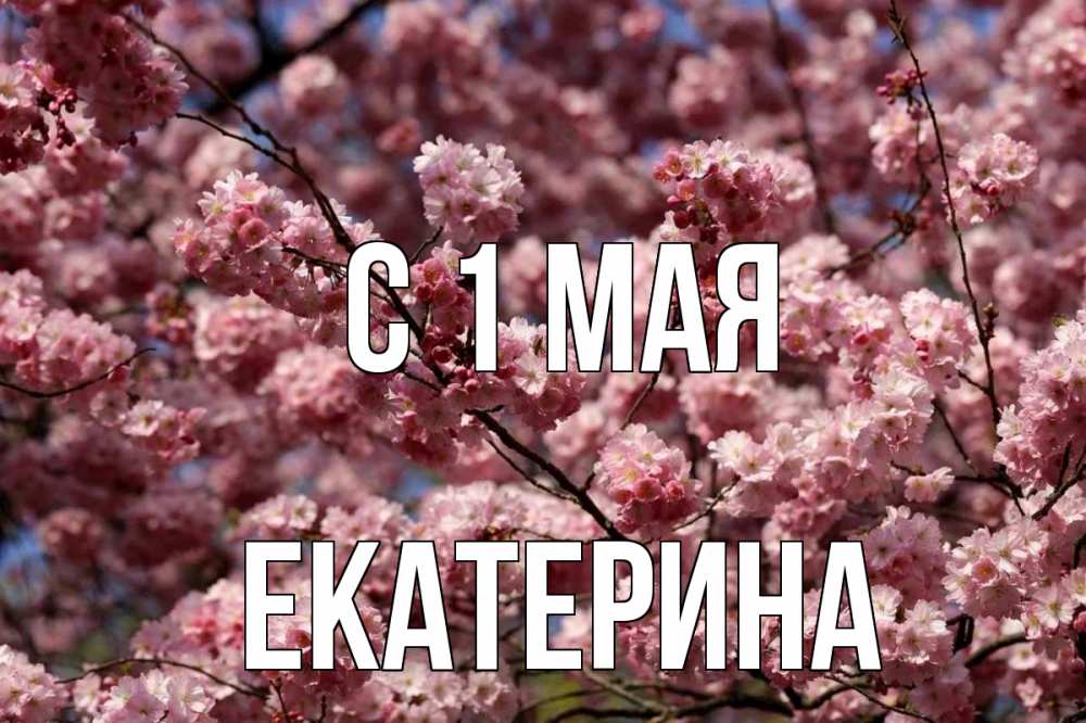 Открытка на каждый день с именем, Екатерина С 1 мая С 1 мая Прикольная открытка с пожеланием онлайн скачать бесплатно 
