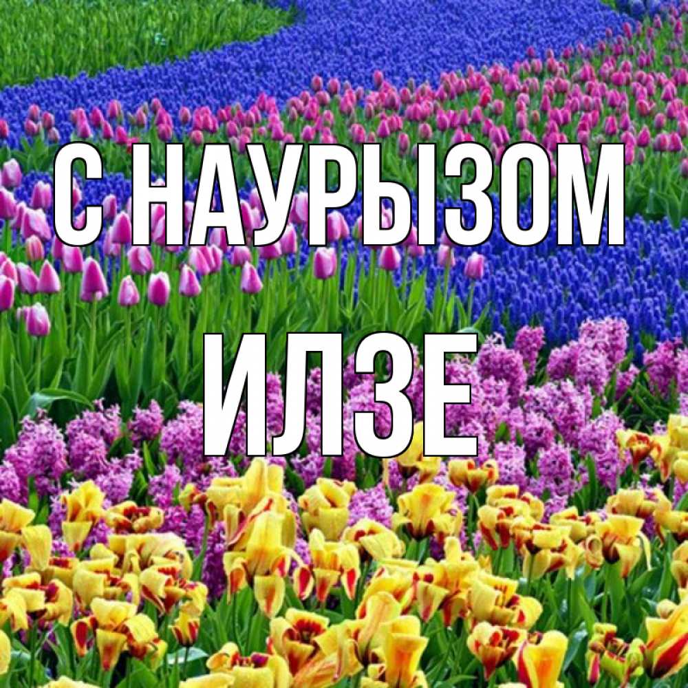 Открытка на каждый день с именем, Илзе С наурызом цветы Прикольная открытка с пожеланием онлайн скачать бесплатно 