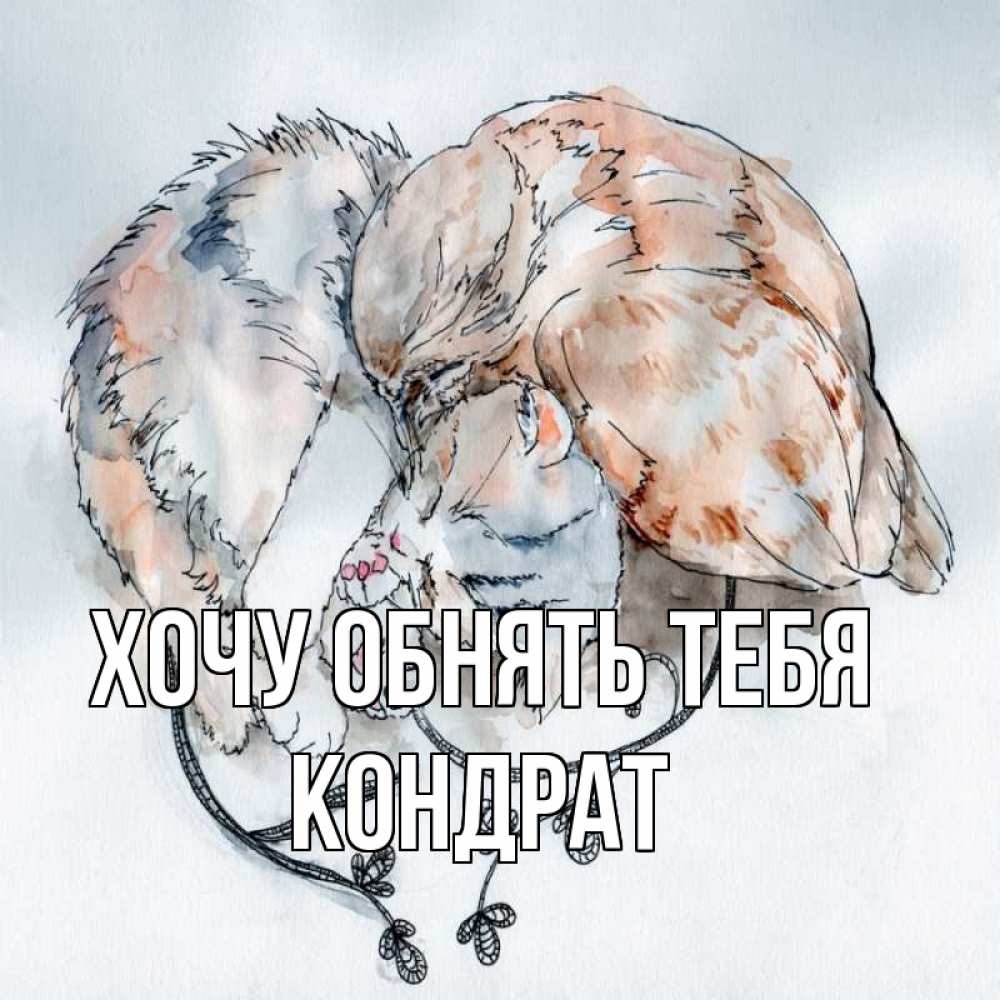 Открытка на каждый день с именем, Кондрат Хочу обнять тебя можно быть вместе даже когда очень разные Прикольная открытка с пожеланием онлайн скачать бесплатно 