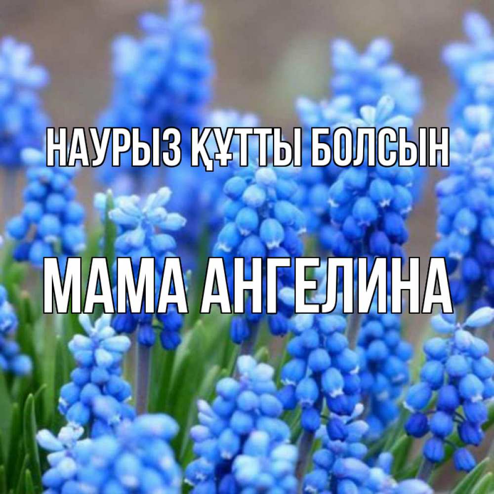Открытка на каждый день с именем, Мама-Ангелина Наурыз құтты болсын Поздравительная открытка для женщин с цветами на праздничную дату Прикольная открытка с пожеланием онлайн скачать бесплатно 