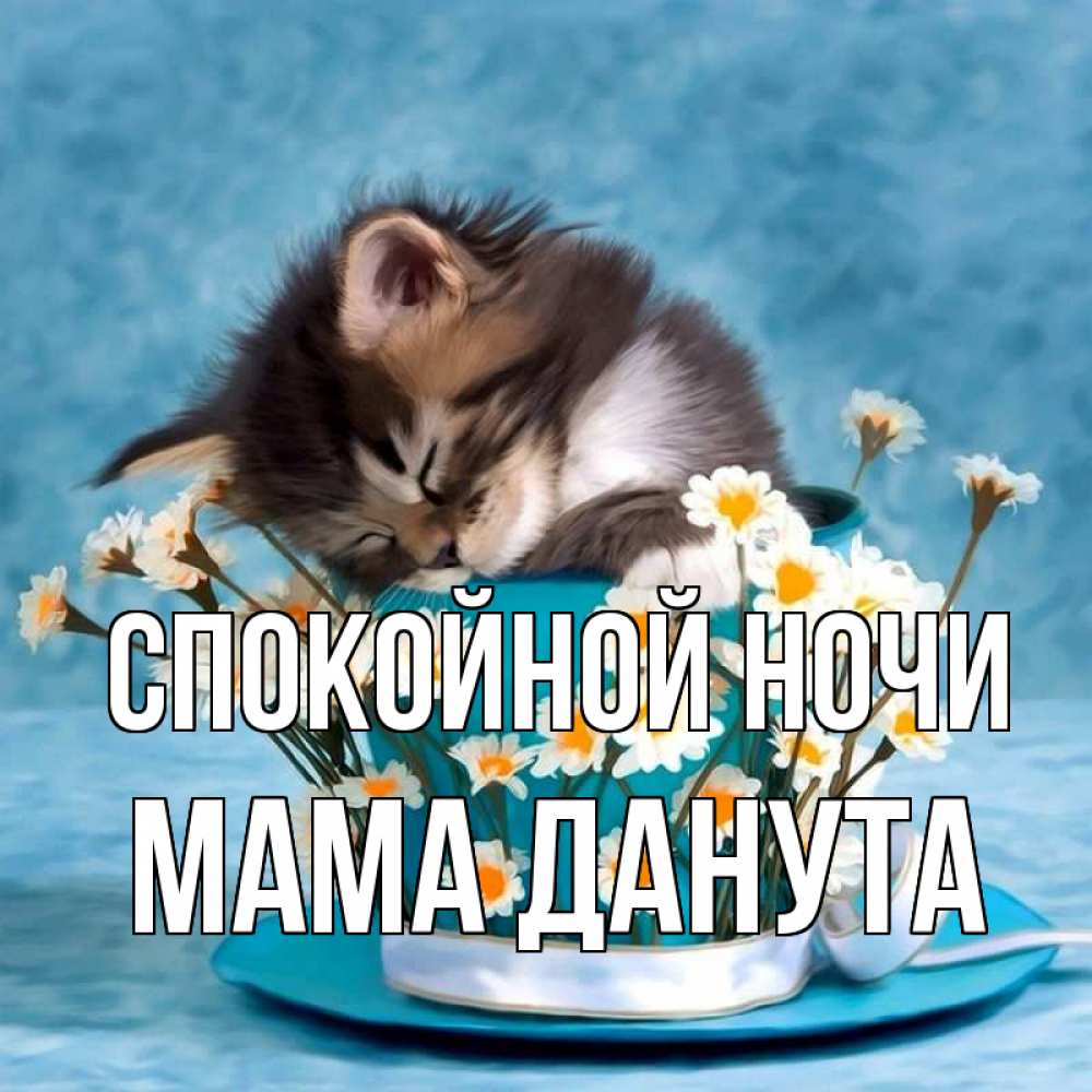 Открытка на каждый день с именем, Мама-Данута Спокойной ночи котенок спит в кружке с блюдцем Прикольная открытка с пожеланием онлайн скачать бесплатно 