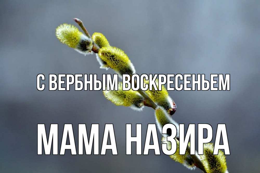 Открытка на каждый день с именем, Мама-Назира С вербным воскресеньем верба Прикольная открытка с пожеланием онлайн скачать бесплатно 