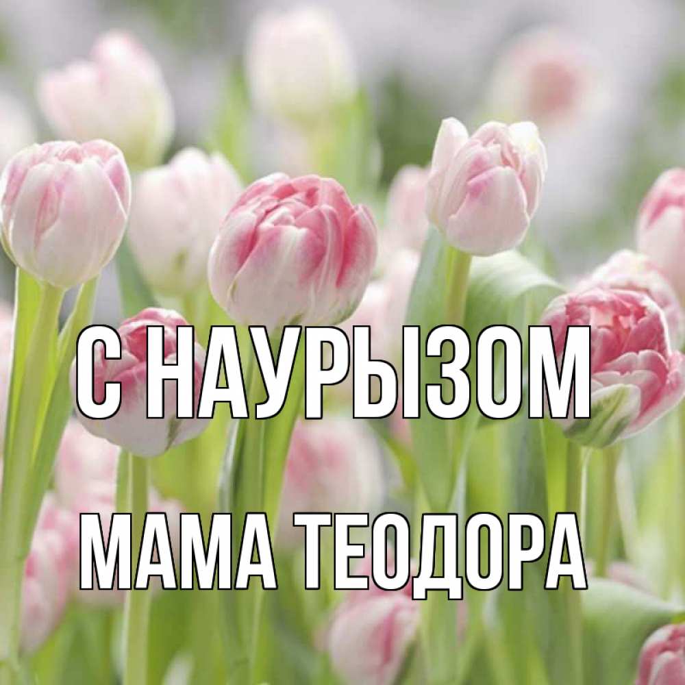 Открытка на каждый день с именем, Мама-Теодора С наурызом цветы Прикольная открытка с пожеланием онлайн скачать бесплатно 