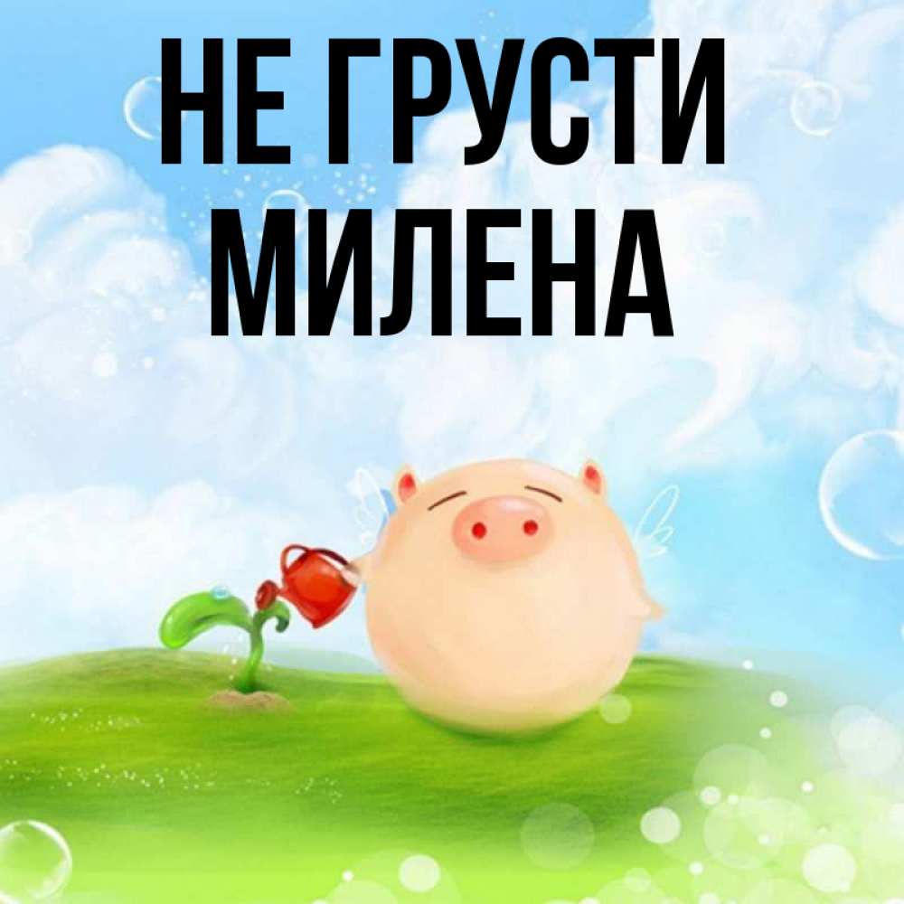 Открытка на каждый день с именем, Милена Не грусти поливает цветок порося Прикольная открытка с пожеланием онлайн скачать бесплатно 